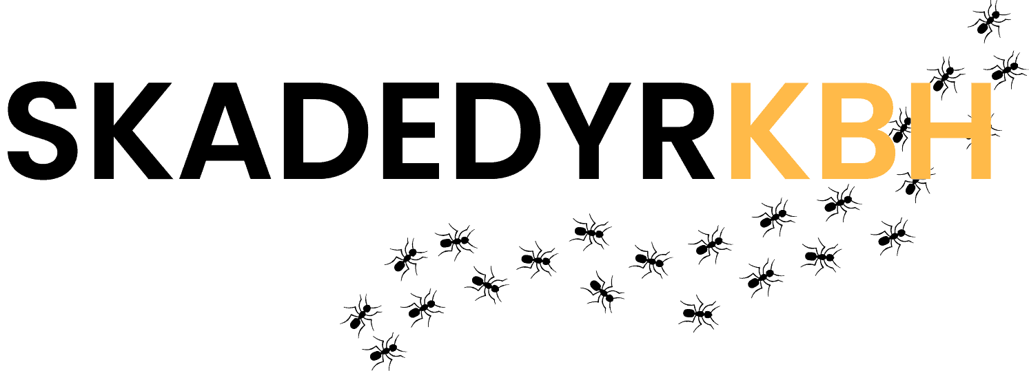 Maxi Service | Skadedyrkbh