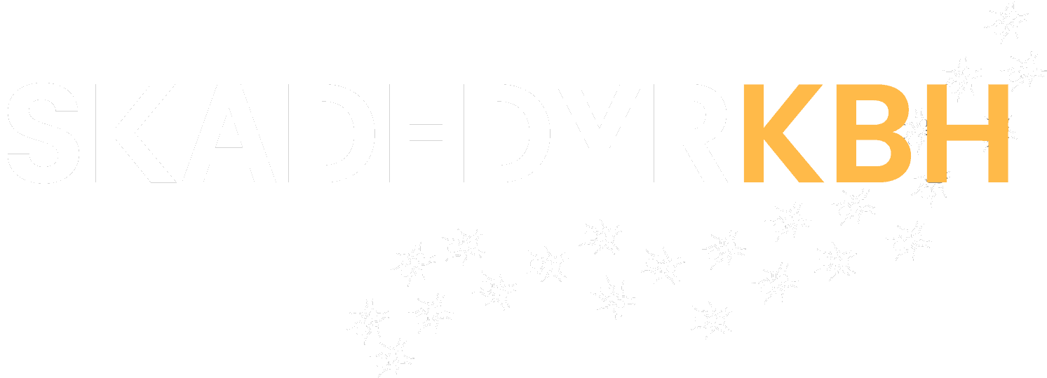 Maxi Service | Skadedyrkbh – Maxi Service ApS